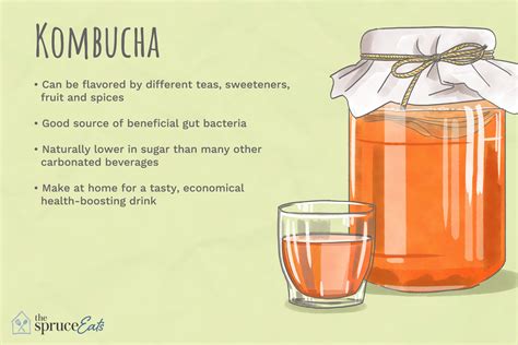 kombucha meaning in gujarati